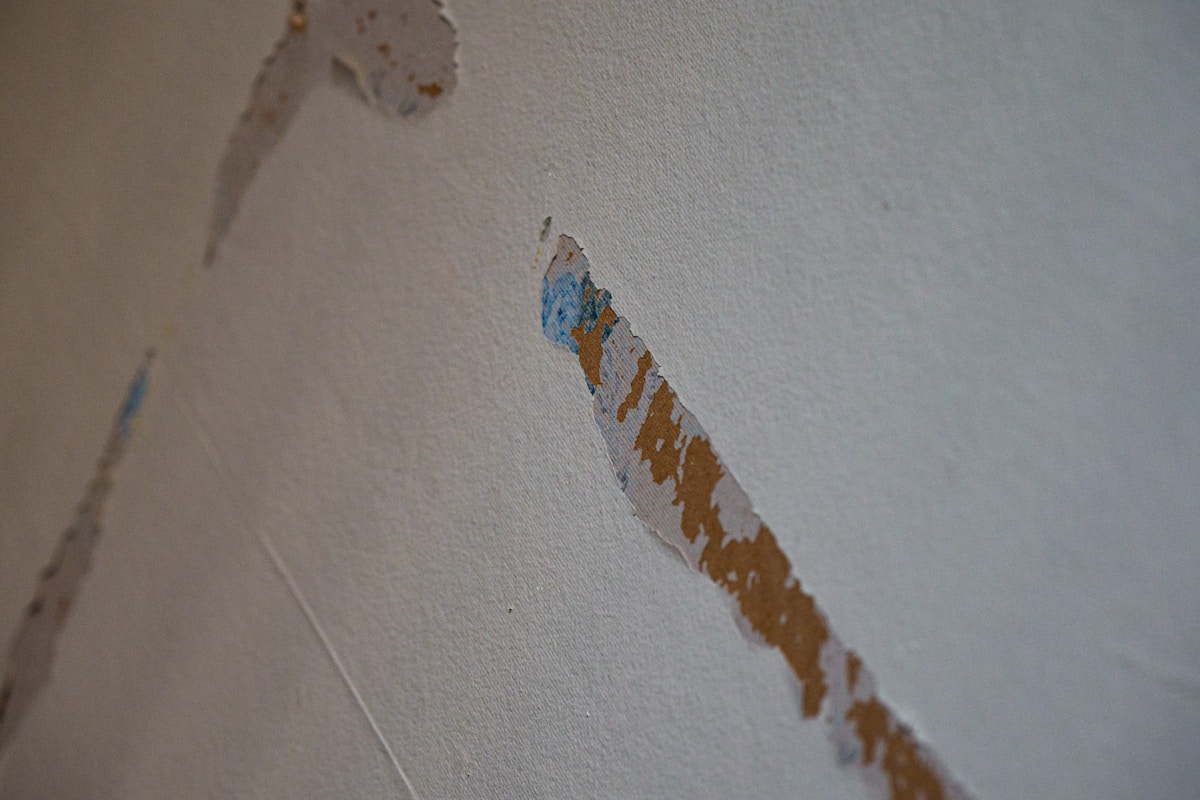 Basement Water Removal service in Colton, CA